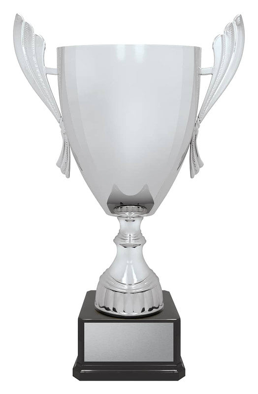 Ironside Cup - Silver