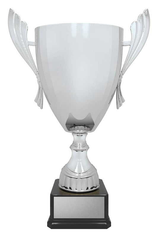 Ironside Cup - Silver