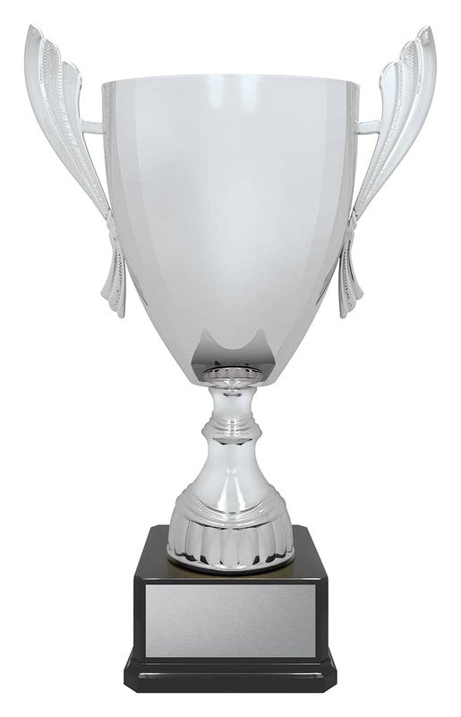Ironside Cup - Silver