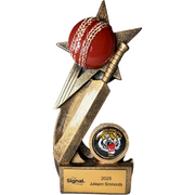 Award Cricket Ball and Bat on Star 145mm
