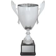 Ironside Cup - Silver