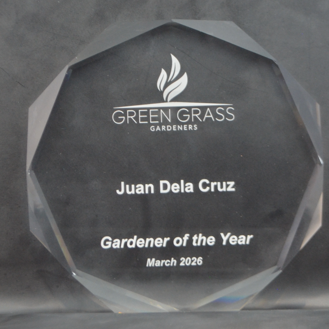 Acrylic Octagon 180mm - Recognition 8000 Octagon Medium Trophy