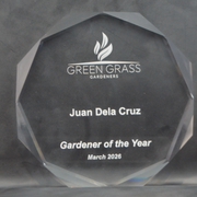 Acrylic Octagon 180mm - Recognition 8000 Octagon Medium Trophy