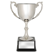 Recognition Cups