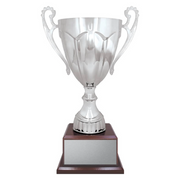 Silver Rubicon - Timber Base