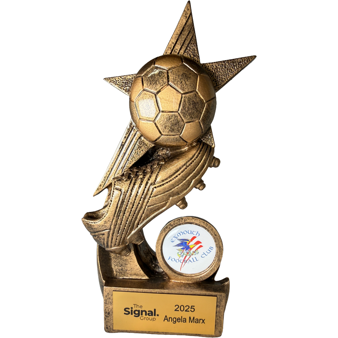 Soccer Ball and boot on star