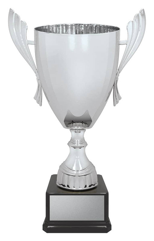 Ironside Cup - Silver
