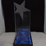 Crystal Glass with Chrome Star 270mm
