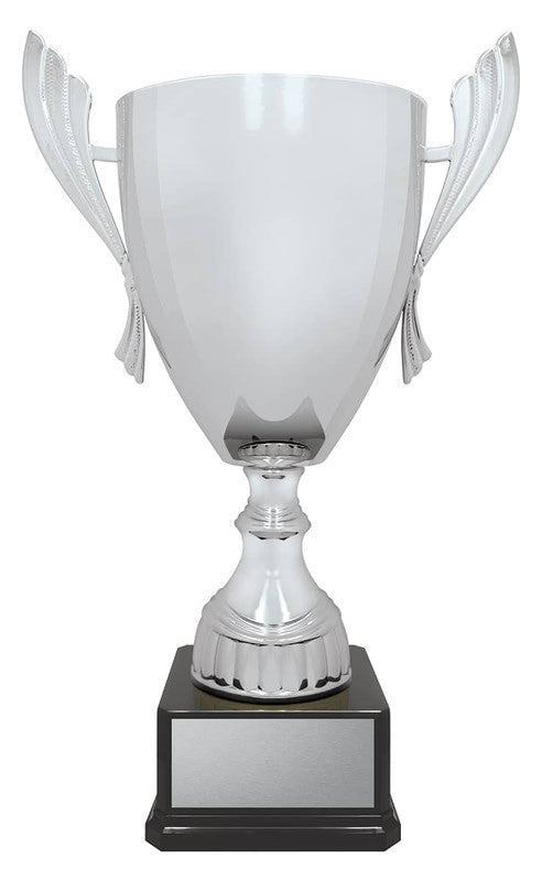 Ironside Cup - Silver