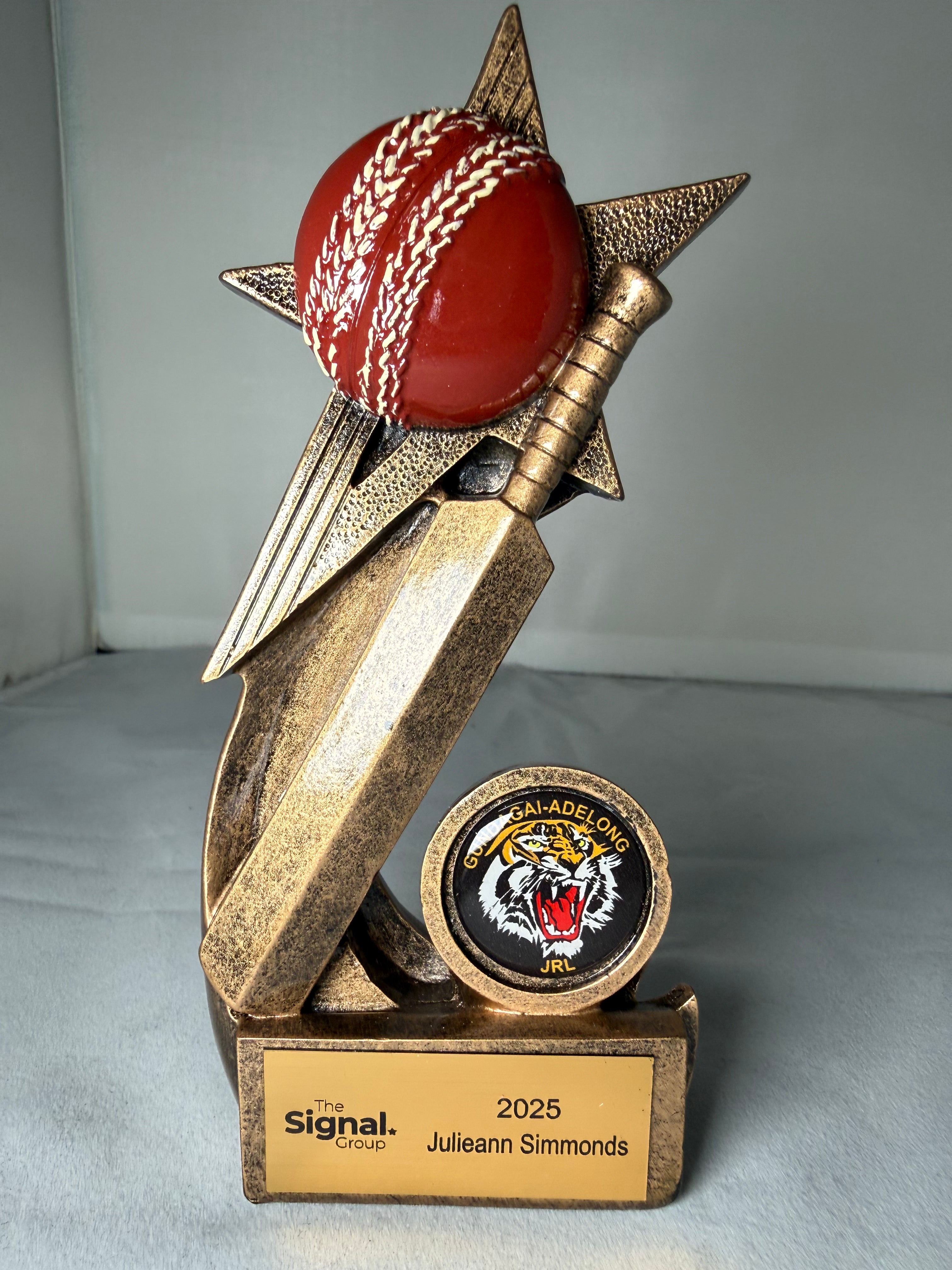 Award Cricket Ball and Bat on Star 145mm