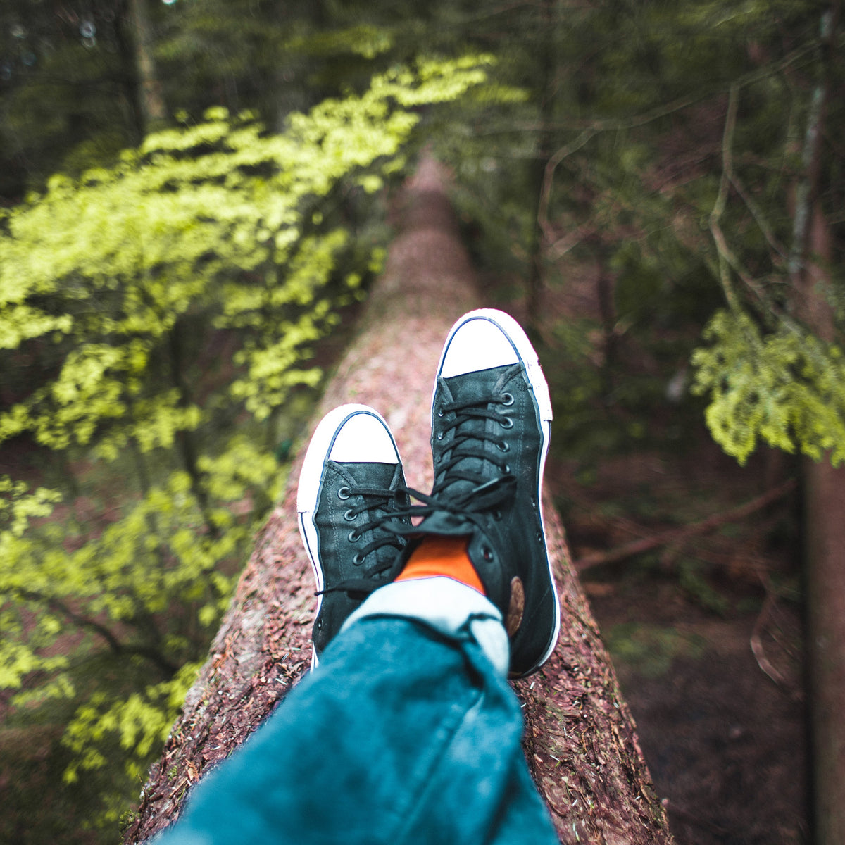 Person wearing black sneakers and blue jeans sitting on a log in a forest